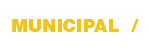 Municipal Portfolio